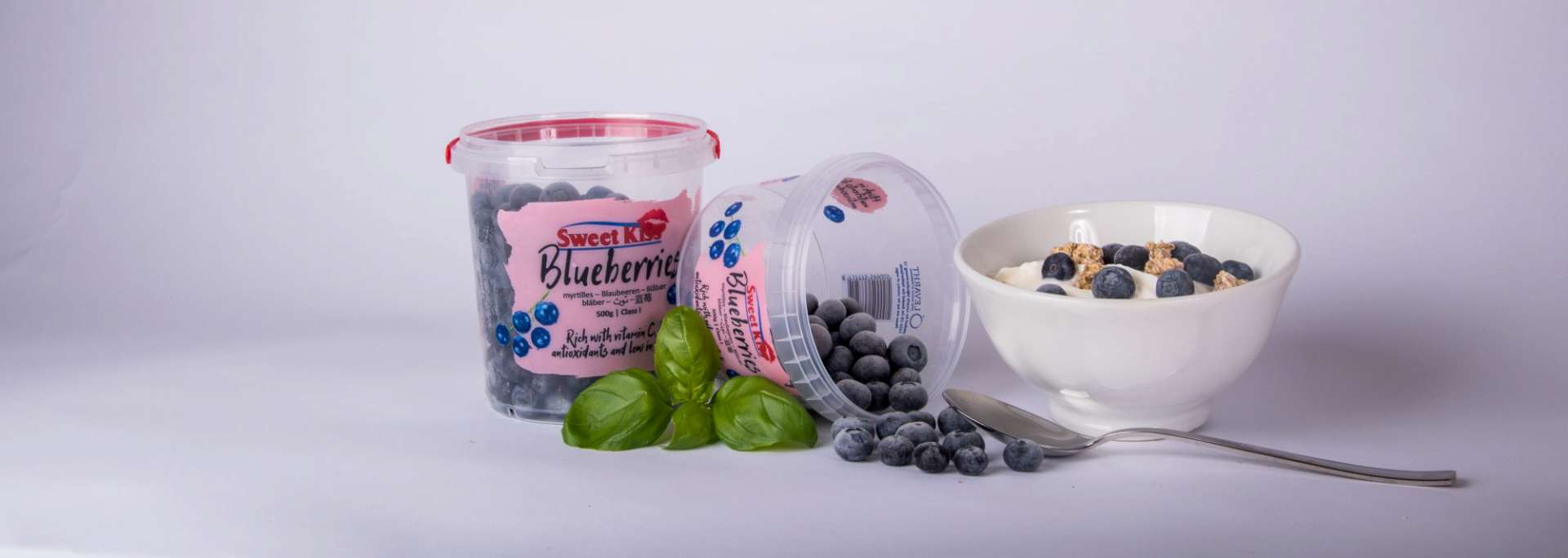 Bedrukt bakje blauwe bessen naast een kom yoghurt met bessen
